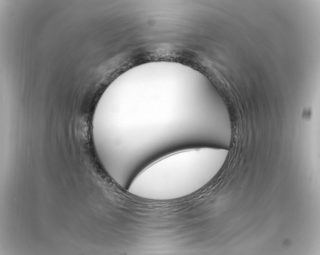 X0000094360715200711021336