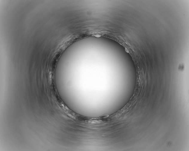 X0000094360716200711021336