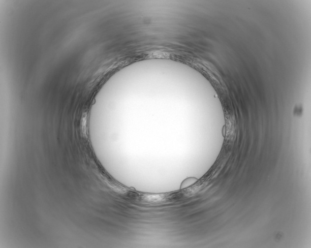 X0000094360717200711021336