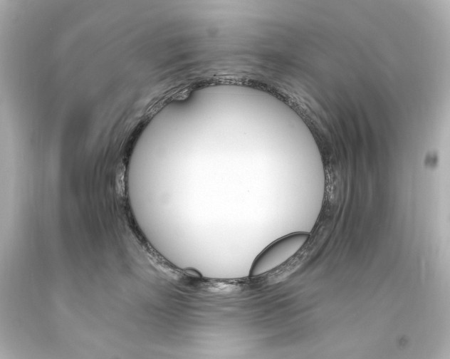 X0000094360718200711021336
