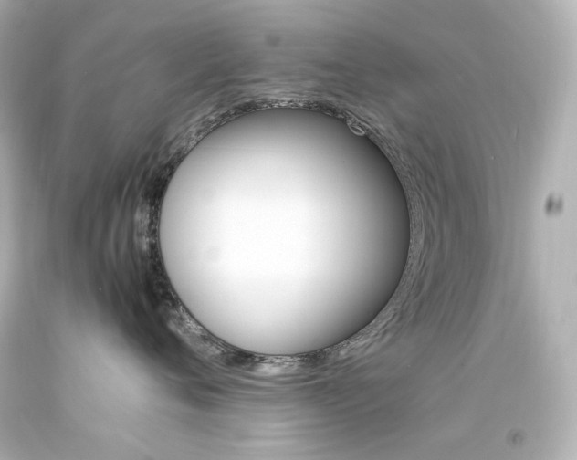 X0000094360720200711021336