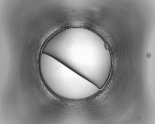 X0000094360721200711021335