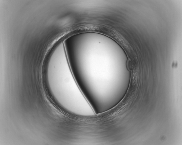 X0000094360722200711021335