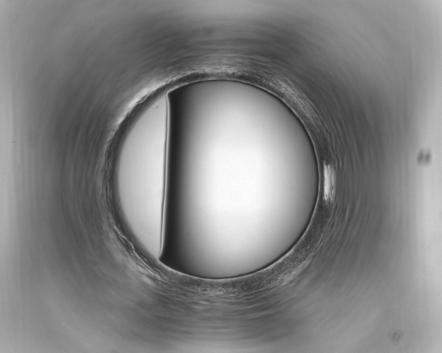 X0000094360723200711021335