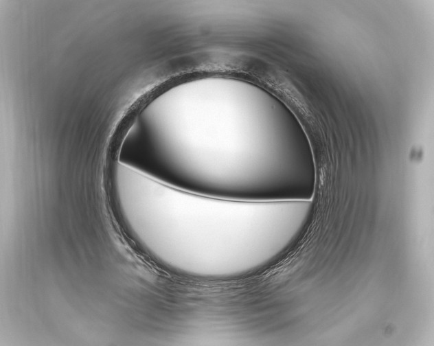 X0000094360724200711021335