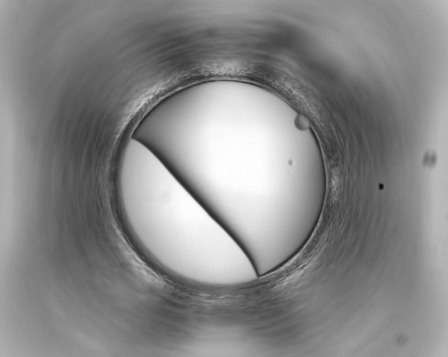 X0000094360725200711021335
