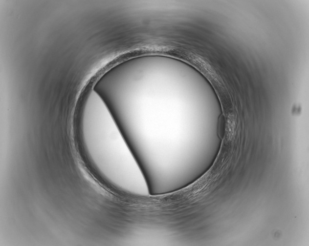 X0000094360726200711021335