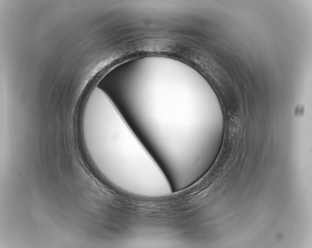 X0000094360727200711021335