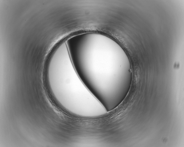 X0000094360728200711021335