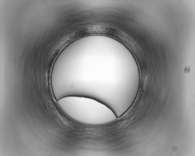 X0000094360729200711021335