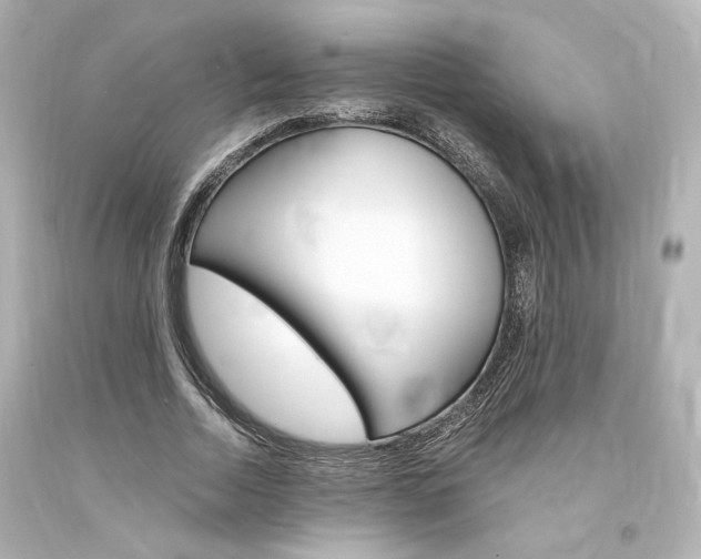 X0000094360730200711021336