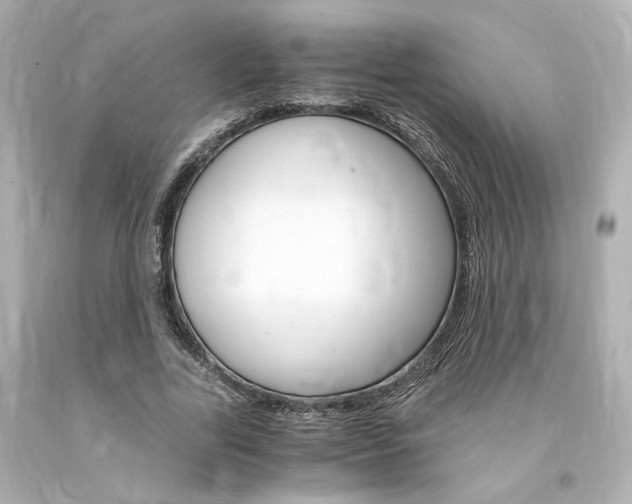X0000094360731200711021336