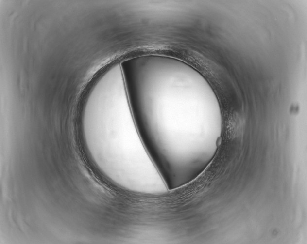 X0000094360732200711021336