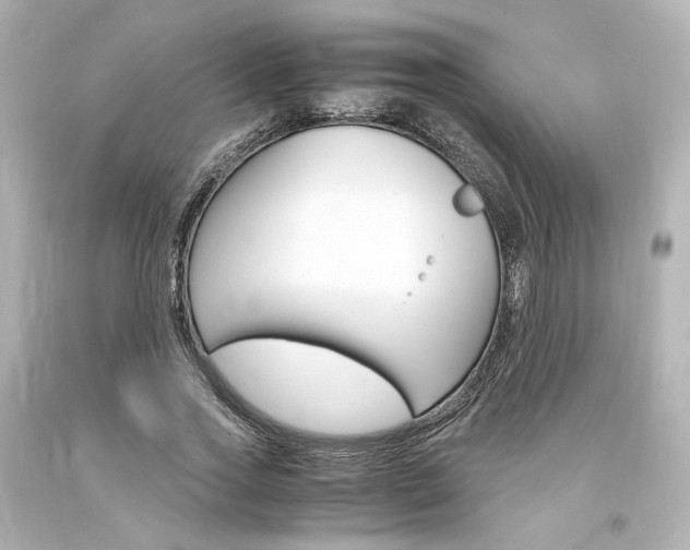 X0000094360733200711021336