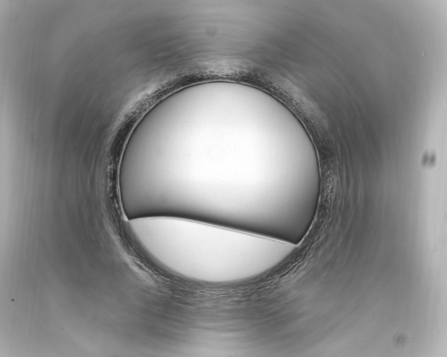 X0000094360736200711021336