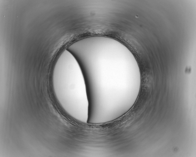 X0000094360738200711021336