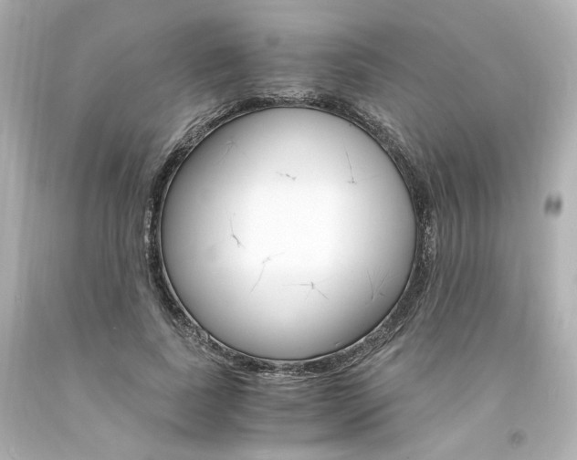 X0000094360739200711021336