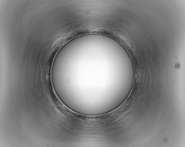 X0000094360740200711021336