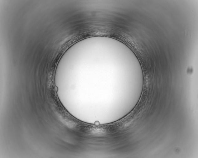 X0000094360741200711021336