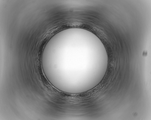 X0000094360743200711021336