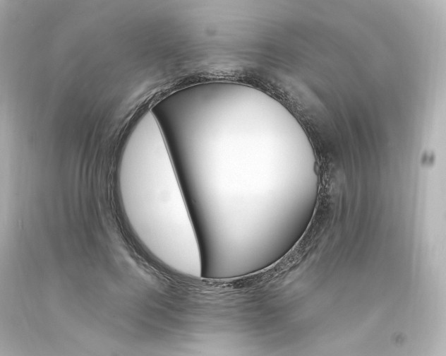 X0000094360744200711021336
