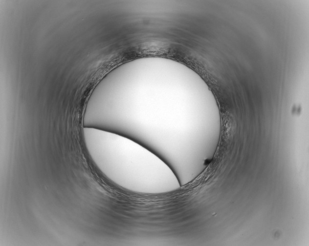 X0000094360745200711021336