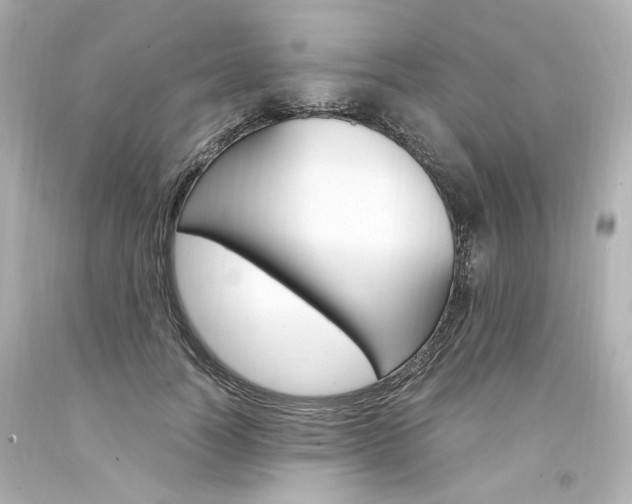 X0000094360746200711021336