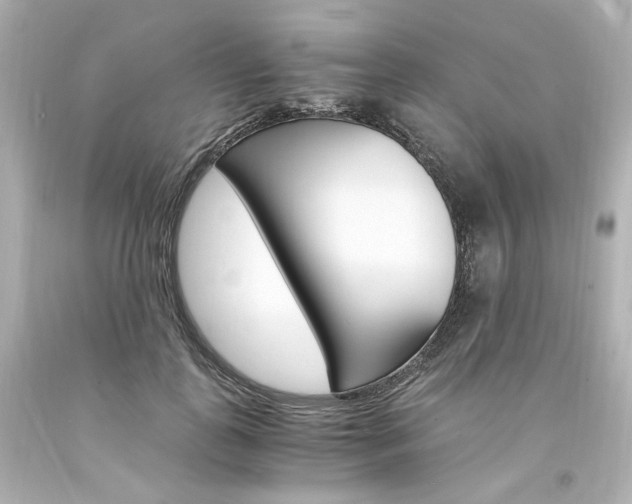 X0000094360747200711021336