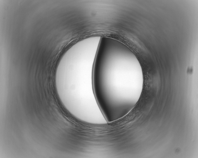 X0000094360748200711021336