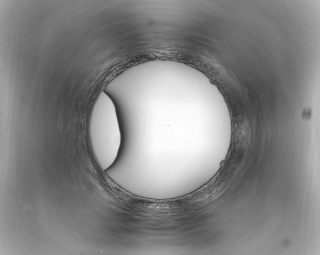X0000094360749200711021336