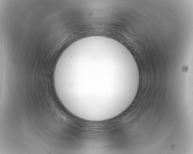 X0000094360750200711021336