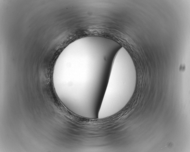 X0000094360751200711021336