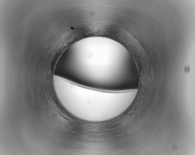 X0000094360752200711021336