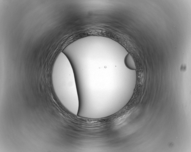 X0000094360753200711021336