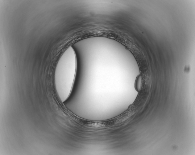 X0000094360754200711021336
