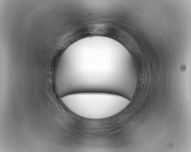 X0000094360755200711021336