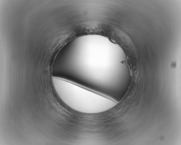X0000094360756200711021336