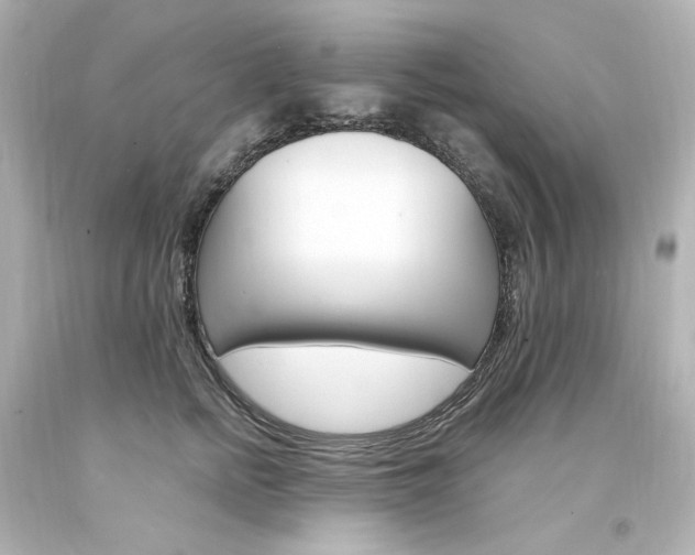 X0000094360758200711021336