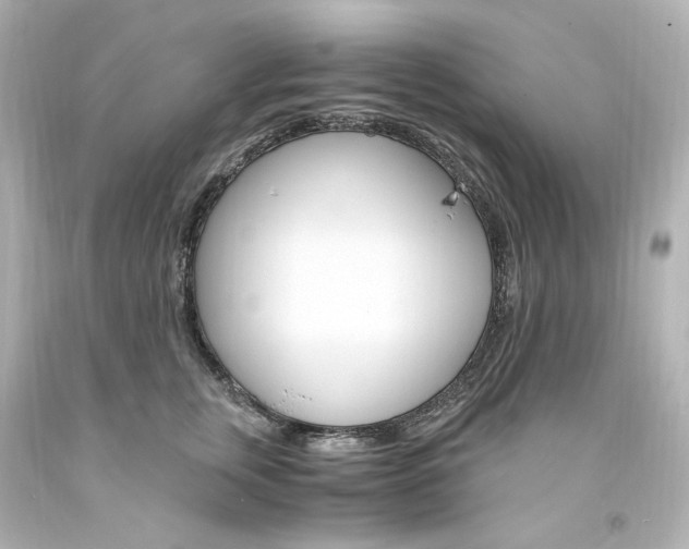 X0000094360759200711021336