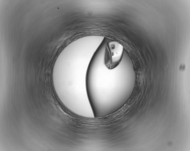 X0000094360760200711021336