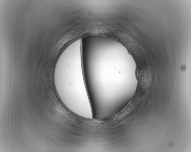 X0000094360762200711021336