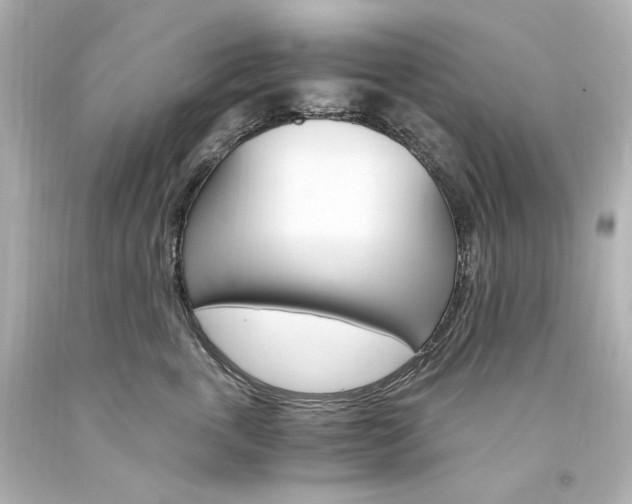 X0000094360763200711021336