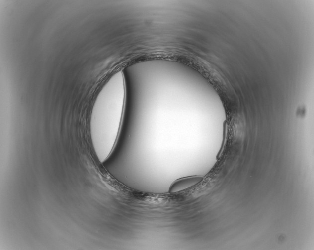 X0000094360764200711021336