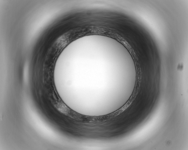 X0000094360765200711021336
