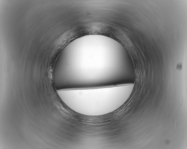 X0000094360766200711021336