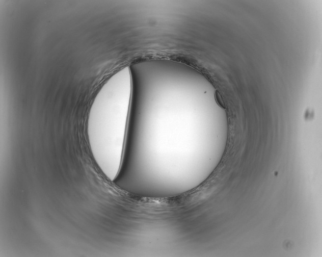 X0000094360768200711021336