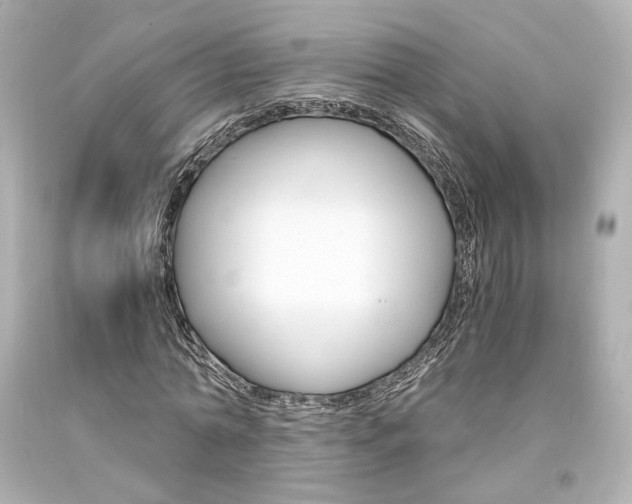 X0000094360774200711021335