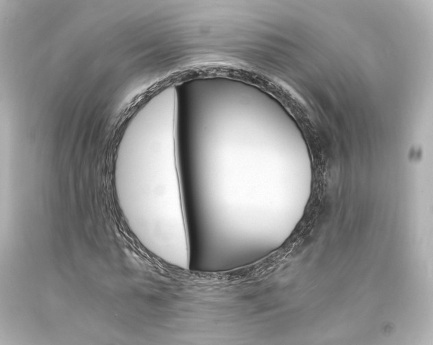 X0000094360775200711021335