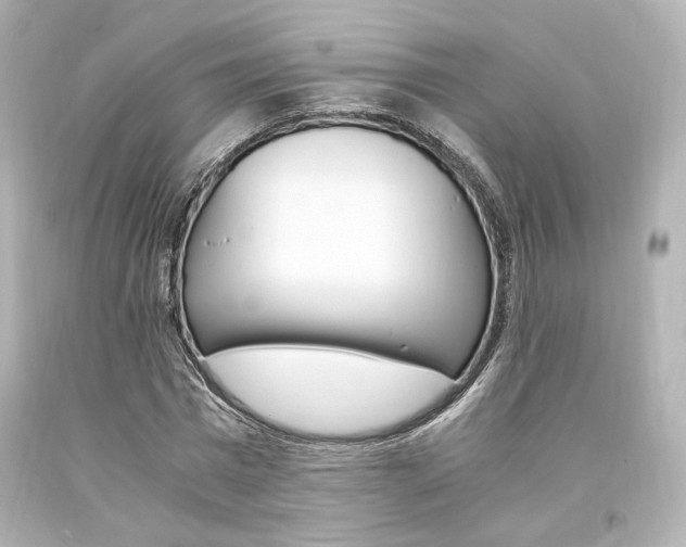 X0000094360777200711021335