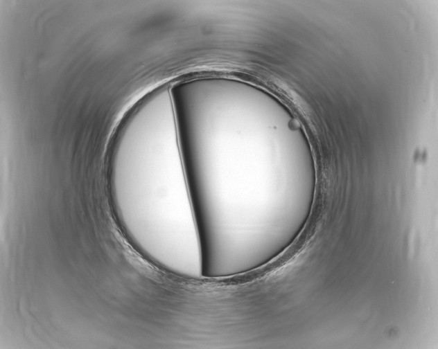 X0000094360779200711021335